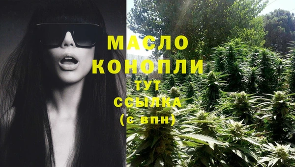 винт Бородино