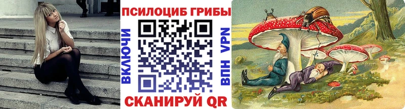 купить наркотик Верея ОМГ ОМГ вход Галлюциногенные грибы мухоморы